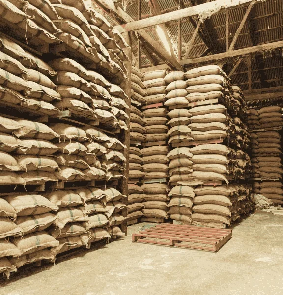 Wholesale rice supply at competitive rates for businesses and bulk buyers.