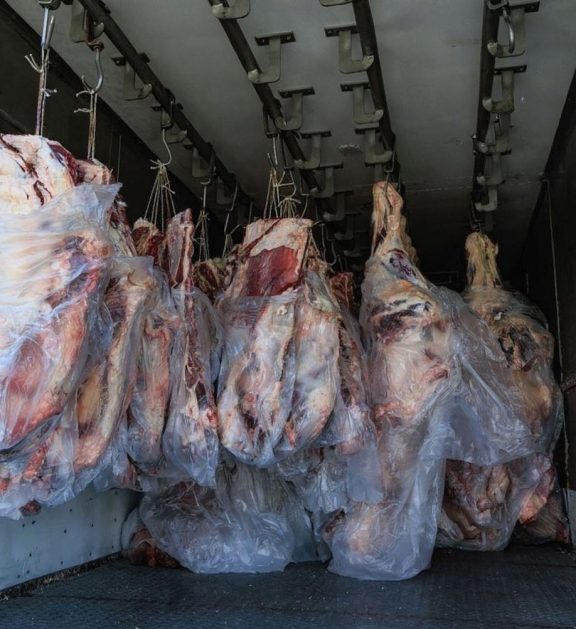 Daily supply of fresh, high-quality beef sourced from trusted farms.