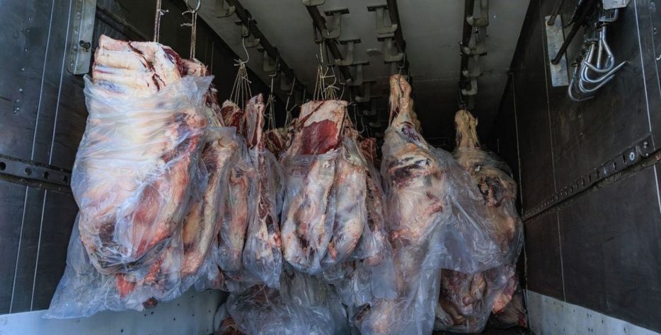 Daily supply of fresh, high-quality beef sourced from trusted farms.