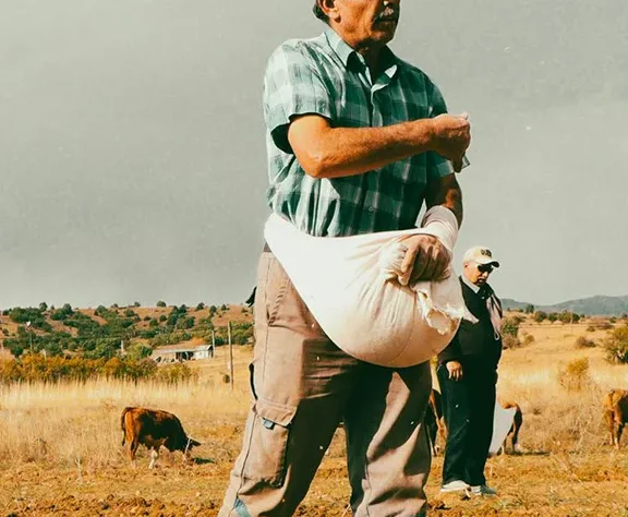 Daily supply of fresh, high-quality beef sourced from trusted farms.