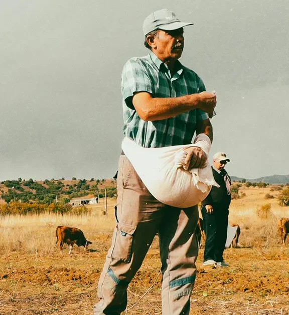 Daily supply of fresh, high-quality beef sourced from trusted farms.