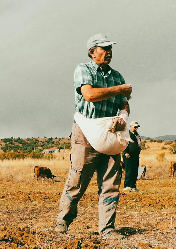 Daily supply of fresh, high-quality beef sourced from trusted farms.