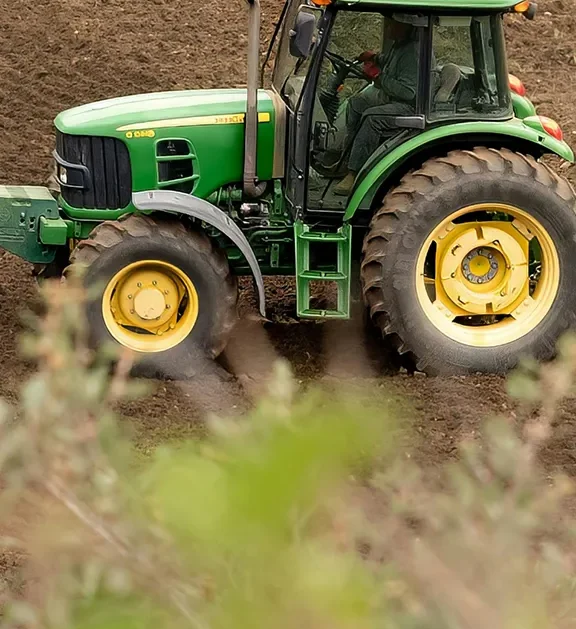 Wholesale rice supply at competitive rates for businesses and bulk buyers.